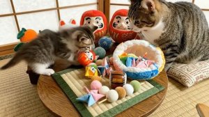 ТЫ НЕ УСТОИШЬ ПЕРЕД ЭТИМИ ПЛЮШЕВЫМИ МАЛЫШАМИ! РЕЗКА, ОТ КОТОРОЙ МУРАШКИ ДО КОНЧИКОВ УШЕЙ