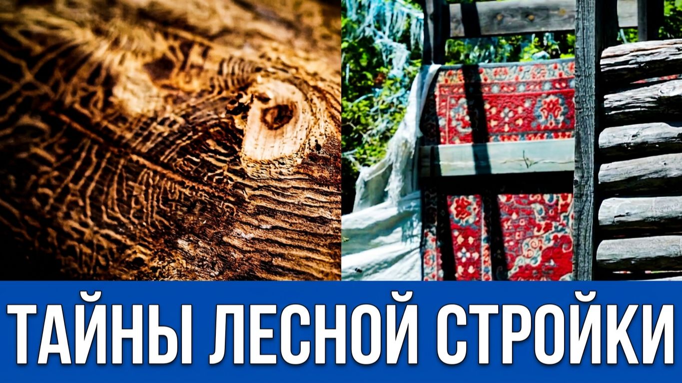 ЧТО ОНИ СТРОЯТ В ЛЕСУ? 🌲 Анапа сегодня. Нашли странные постройки в лесу под Анапой