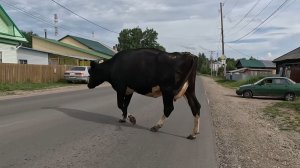 Колпашево, Матьянга, ул. Новосибирская