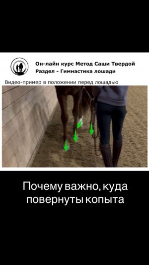 Почему важно, куда повернуты копыта?