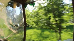 14. Из кареты (3)