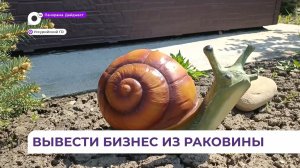 Улиточная ферма в селе Глуховка привлекает туристов со всего Приморья