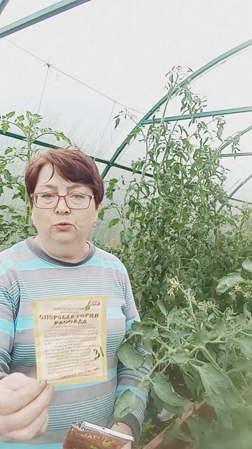 БОРЬБА С ФИТОФТОРОЙ/ПОДКОРМКА ТОМАТОВ #4🍅