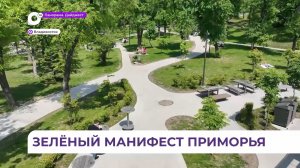Новые парки, сотни тысяч высаженных деревьев - Приморье меняется на глазах
