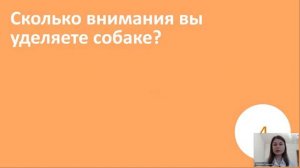 4 способа улучшить жизнь с собакой прямо сегодня