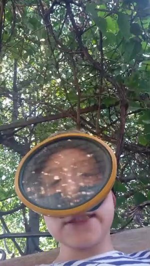 ее
