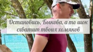 Гробится сама и Гробит мужа