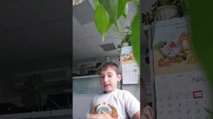 мультивселенная