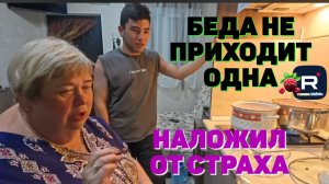 Беда не приходит одна /Наложил от страха /Ольга Уралочка live /Обзор