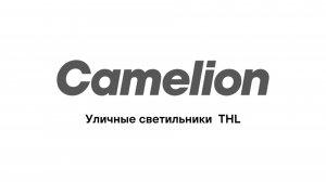 Консольные светильники Camelion
