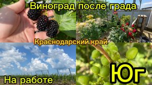 Купили дом. Сапаем на работе. Град натворил делов. Жизнь на юге.