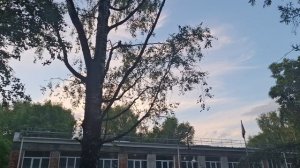 Вечерняя прогулка