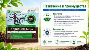 Как быстро укоренить черенки? Секрет мощных корней | КорнеСил Экстра