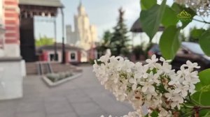 СВИДЕТЕЛЬСТВО ВЕРЫ: БОГОЛЮБСКАЯ ИКОНА БОЖИЕЙ МАТЕРИ