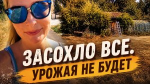 Обзор сада после жарких дней. Франция.