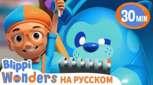 паутина _ Изучай этот мир вместе с Блиппи _ Обучающие видео для детей _ Blippi