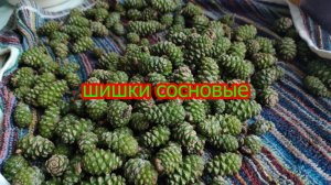 Домашка... Шишки сосновые.
