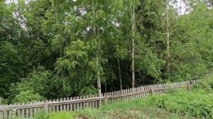 Вот так и живём... Июнь 2026 года. Вторая половина