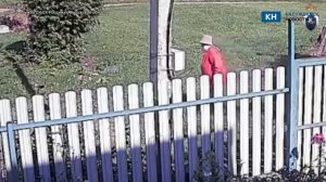 Калужский СК разыскивает женщину, которую почти год назад видели в Бабынинском районе