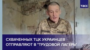 Пленный из ВСУ: схваченных ТЦК украинцев отправляют в «трудовой лагерь»