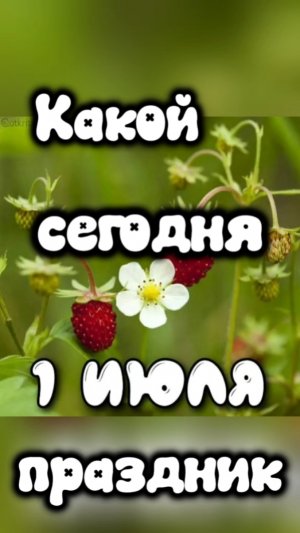 Какой сегодня 01 июля праздник 🎂