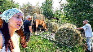 К НЕМУ ЛУЧШЕ НЕ ЛЕЗТЬ КОГДА ОН ЭТО ДЕЛАЕТ. ЗАГОТАВЛИВАЕМ МЯСО. ПРИВЕЗЛИ СЕНО, РЕМОНТ НА ХОЗЯЙСТВЕ