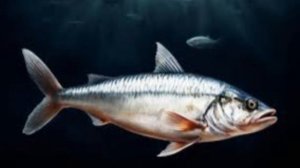 Российские производители рыбы задолжали рекордную сумму