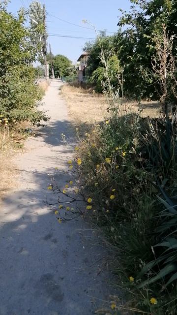 дом смотреть онлайн