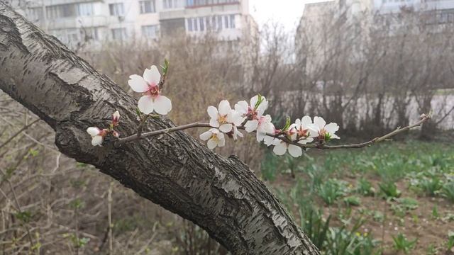 Один из дней города Евпатории | 1 апреля 2022 год | Крым ХАН БАТОН XAH 6ATOH | VID_20220401_142131
