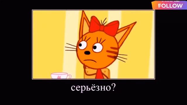 ТРИ КОТА 😻😹😽 ПОЛНАЯ РЖАКА 🤣 RYTP попробуй не засмеяться 😂 смотреть онлайн