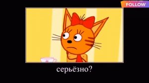 ТРИ КОТА 😻😹😽 ПОЛНАЯ РЖАКА 🤣 RYTP попробуй не засмеяться 😂
