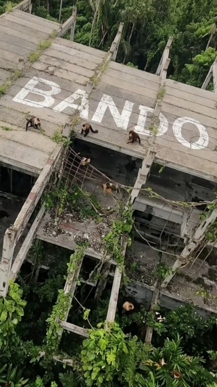 Заброшенный завод FPV Bando