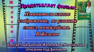 Извините за плохое изображение, но уловите смысл, пожалуйста. В.Железов.