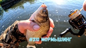 #310 Мормышинг обзор за 1 июня 2026