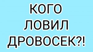 ДРОВОСЕК и сбежавшие пчёлы
