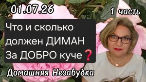 1 часть. Что и сколько должен ДИМАН за ДОБРО куче❓️