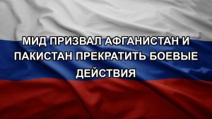 МИД призвал Афганистан и Пакистан прекратить боевые действия