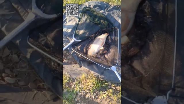 Рыбаки в шоке. мой пацан ОБЛОВИЛ всех