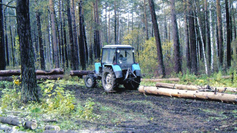 Farming Simulator 25 2026 Продолжение заготовки леса карта Балдейкино