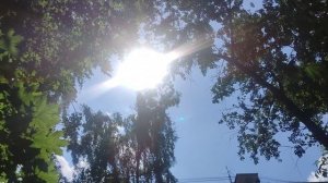1 июля. магический ☀️ подарок прогноз погоды от волшебника Ивана Ивановича Кулебякина из Москвы