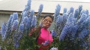 Погода отличная, работа с удовольствием.