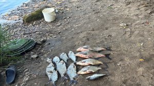 Рыбалка на Оке