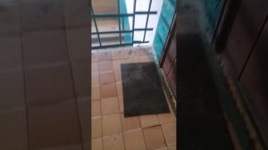подишитесь на меня пожалуйста