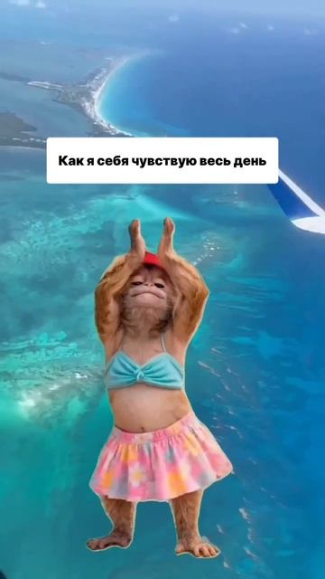 9b7e44d7-dccf-46c2-938f-3d084decf1a1_001