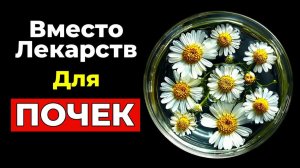 Вместо лекарств, для очищения почек!