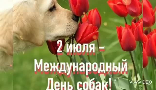 2 ИЮЛЯ – МЕЖДУНАРОДНЫЙ ДЕНЬ СОБАК. СОБАКИ–САМЫЕ ВЕРНЫЕ И ПРЕДАННЫЕ ДРУЗЬЯ!