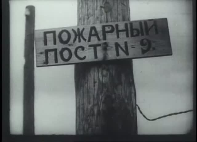 История. Первые годы Советского Государства. Кино-правда № 17