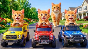 🐾 Мама-кошка подстригает шерсть на ферме и делает тигровую шапку для котят дома🐾🎩🐯