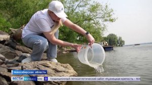 Угольная компания «Кузбассразрезуголь» выпустила в реку Обь более 23 тыс. мальков нельмы