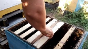 Исправление отрутовевшего отводка. Часть 2.